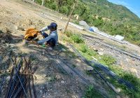 Thi công dự án Helen Crown