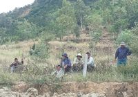 Thi công dự án Helen Crown