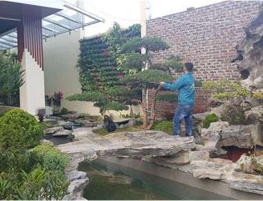 Thi công sân vườn 03